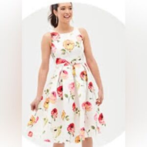 Danny & Nicole White and Red Floral Dress